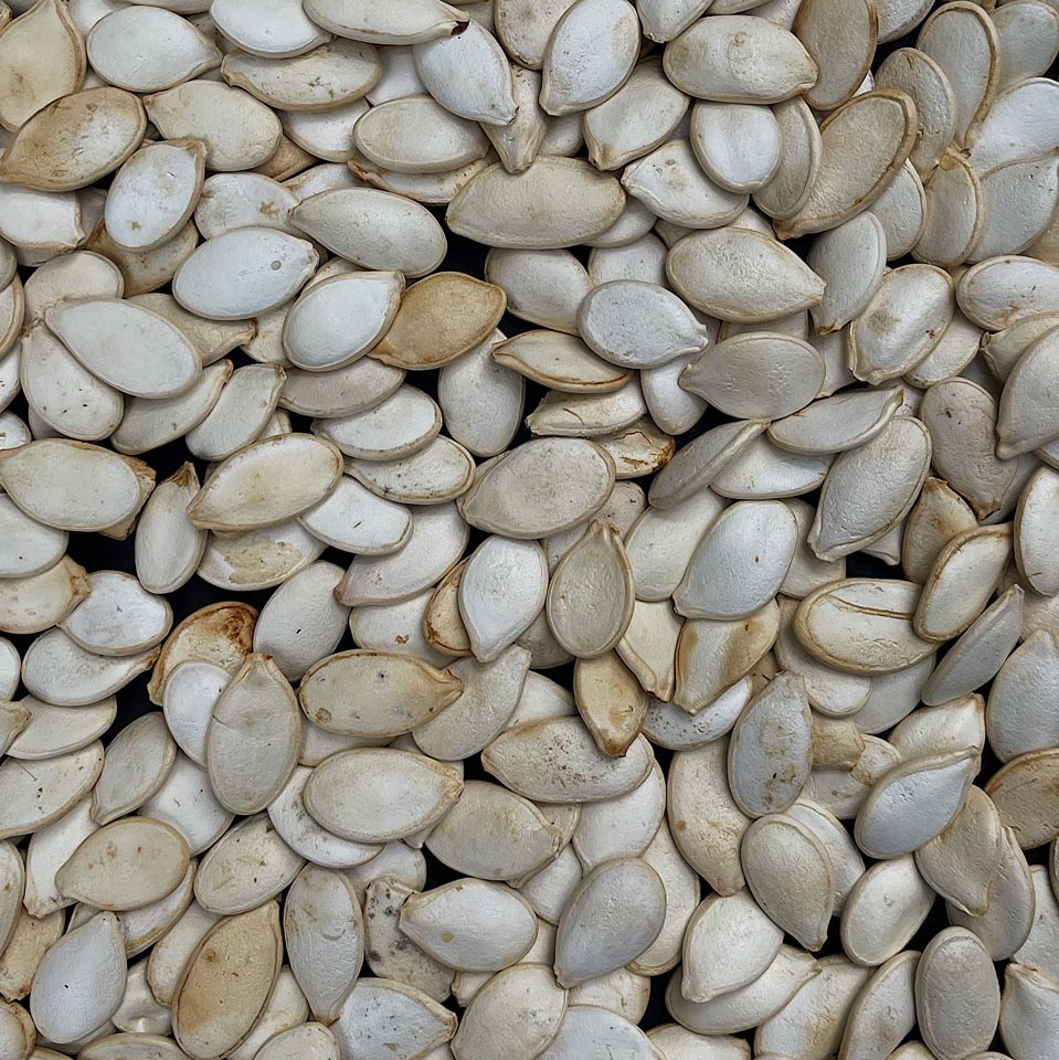 Pumpkin Seeds Unsalted 200G