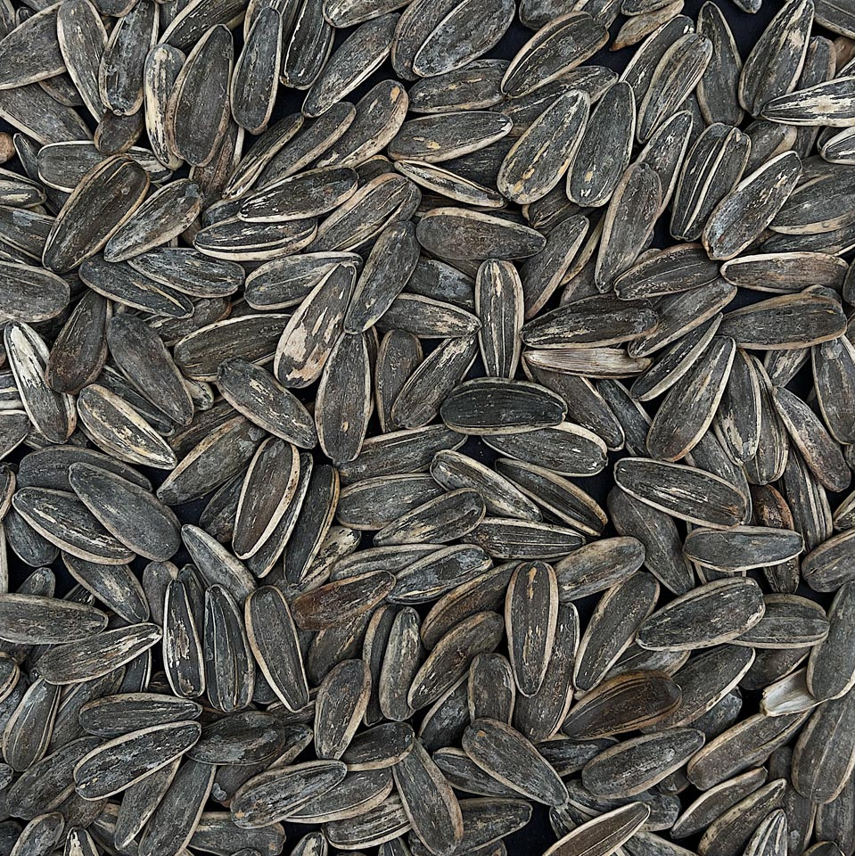 SUNFLOWER SEEDS 200G