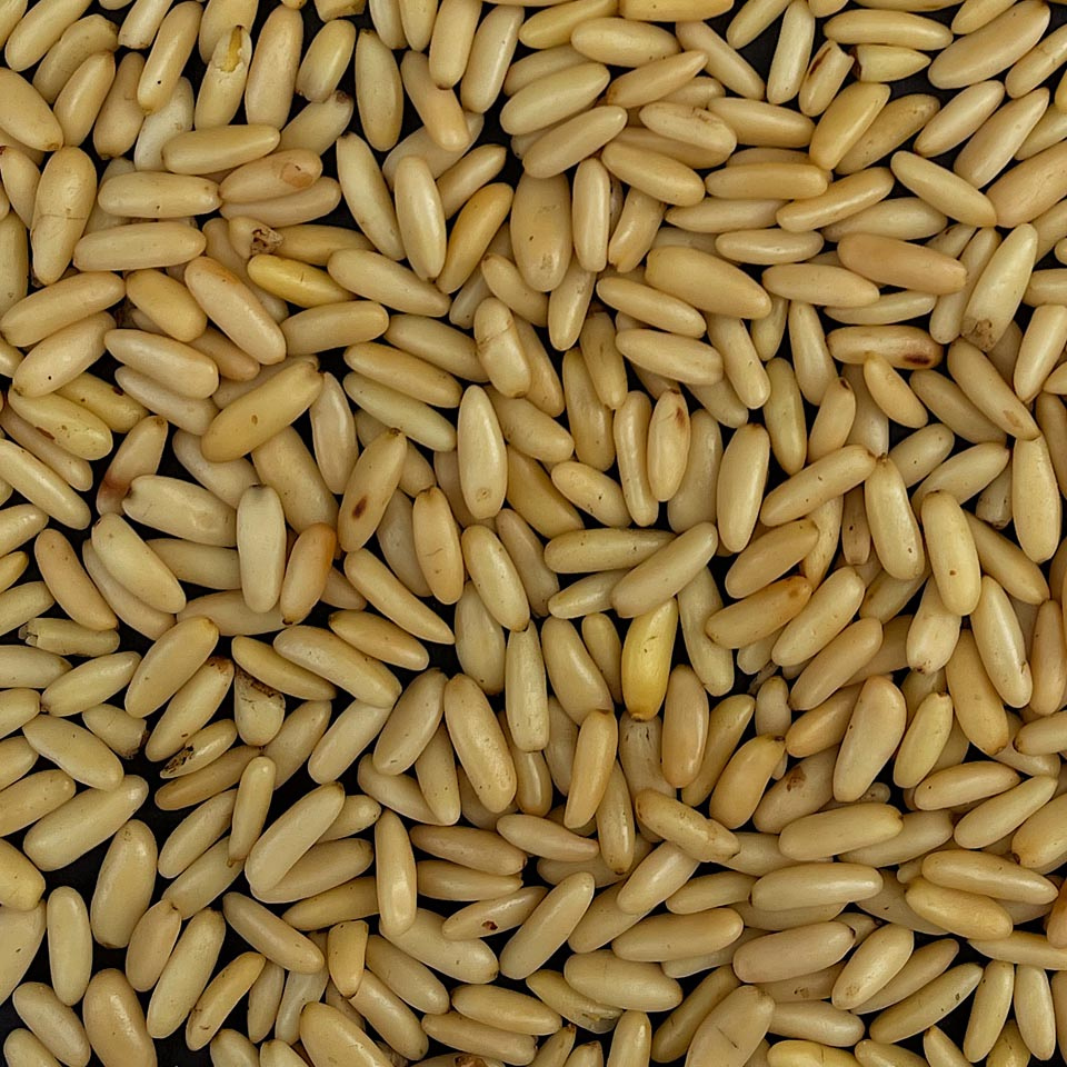 Pine Nuts Long 1KG