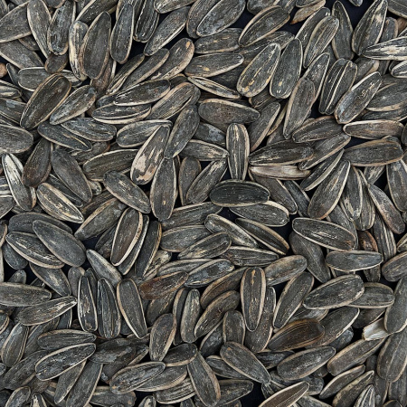 SUNFLOWER SEEDS