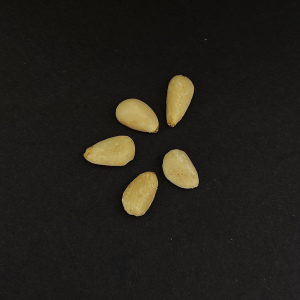 PINE NUTS