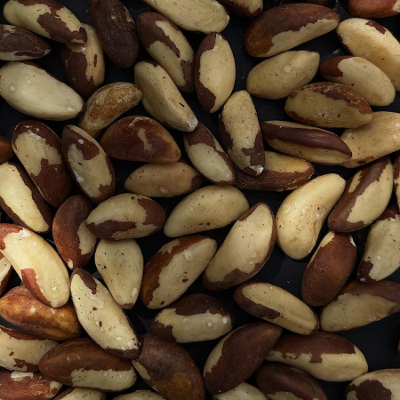 BRAZIL NUTS